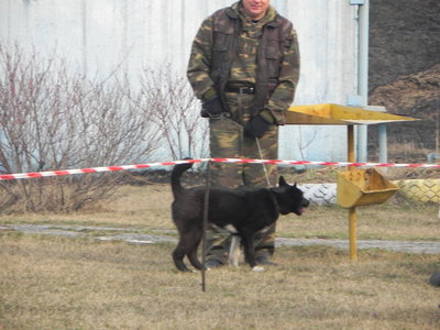 DSCN0937.JPG
