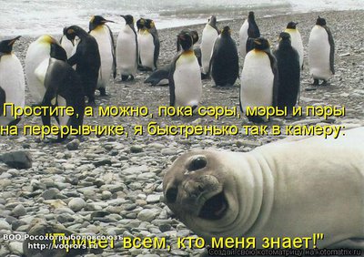 сэр.jpg