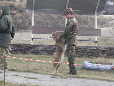 DSCN0941.JPG