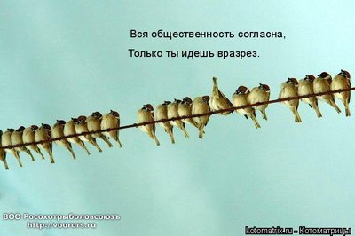 общ.jpg