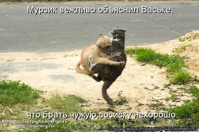 сос.jpg