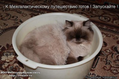 меж.jpg