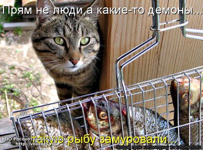 зам.jpg