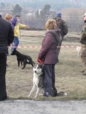 DSCN0953.JPG