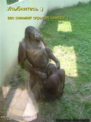 сн1.jpg