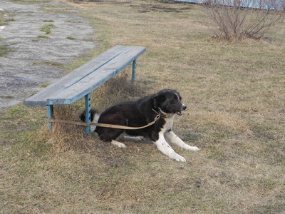 DSCN0956.JPG