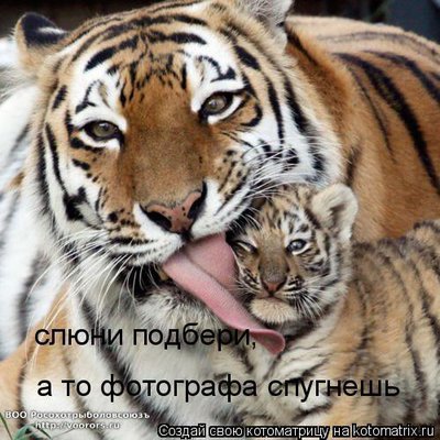сл1.jpg