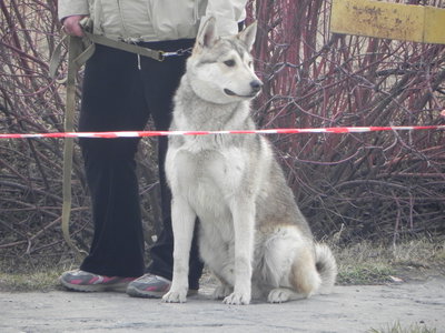 DSCN0964.JPG