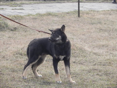 DSCN0965.JPG