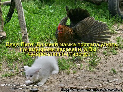 вр.jpg