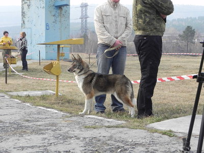 DSCN0976.JPG