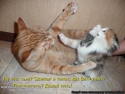 пять.jpg