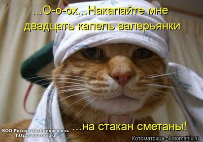вал.jpg