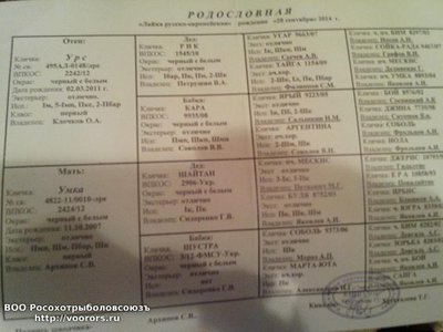 IMG_20141028_184105.jpg