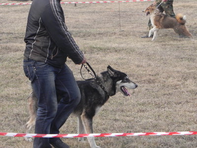 DSCN0987.JPG