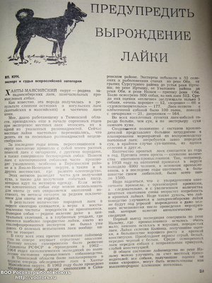 IMG_0005.JPG