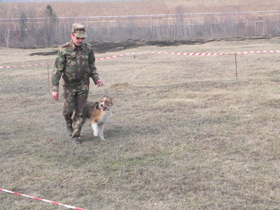 DSCN0994.JPG
