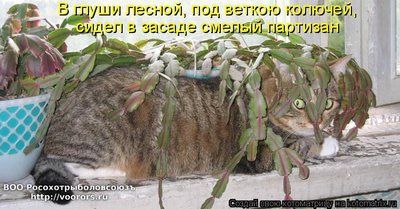 пан.jpg