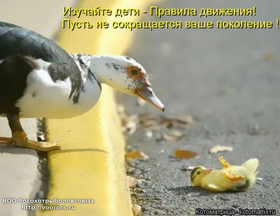 пр.jpg