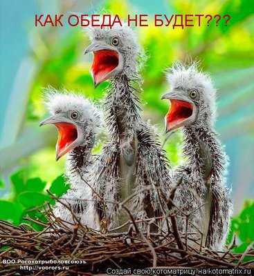 об1.jpg