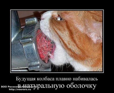f9fc9630bc939b1ae83f6d2f50c92bb7afca1f6f_1.jpg