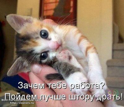getImage (10).jpg
