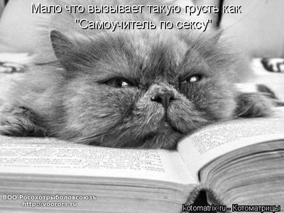 секс.jpg