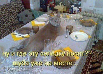 getImage (14).jpg