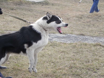 DSCN1009.JPG