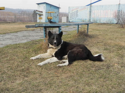 DSCN1022.JPG