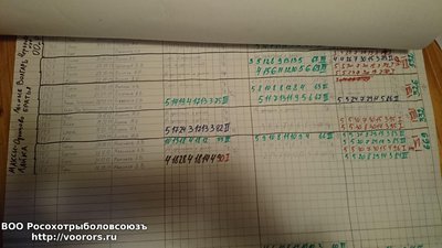 DSC_0445.JPG