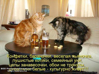 конф.jpg