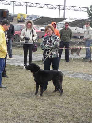 DSCN1093.JPG