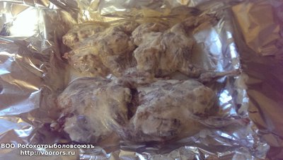 IMAG0100[1].jpg