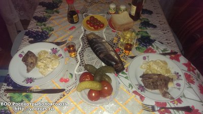 IMAG0114[1].jpg