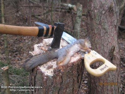 post-130-0-07319800-1414765791_thumb[1].jpg