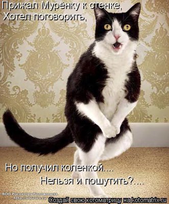 кол1.jpg