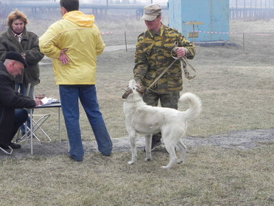 DSCN1211.JPG
