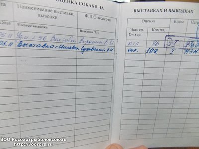 Изображение 003.jpg