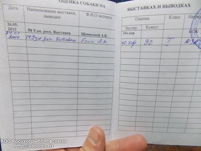 Изображение 005.jpg
