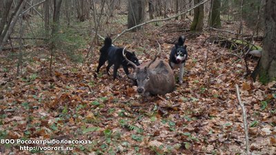 20141101_135452.jpg