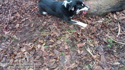 20141115_124745.jpg