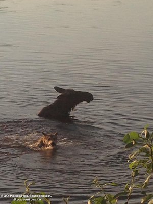 IMG_1361.jpg