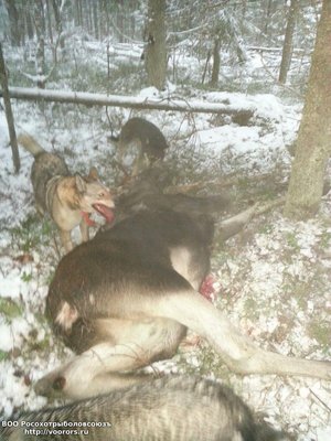 20141122_144459.jpeg