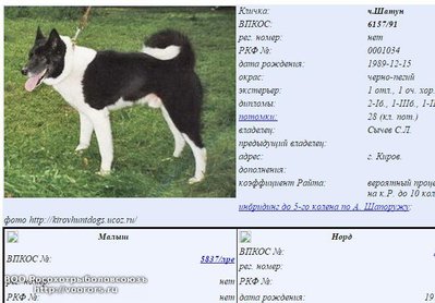 Сохраненное изображение 2014-12-4_20-48-56.53.jpg