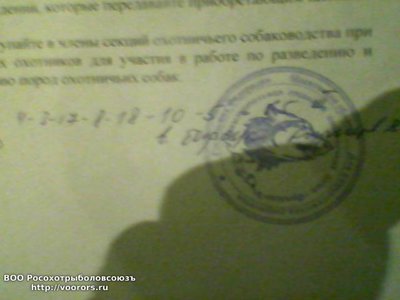 Изображение 042.jpg