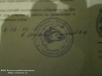 Изображение 043.jpg