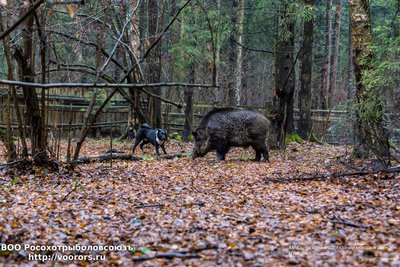 IMG_0055-Л+Ф.jpg