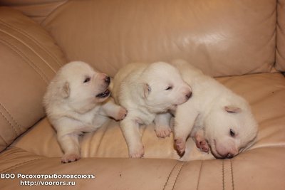 IMG_4960[1].JPG