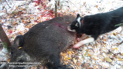 20141018_121147.jpg